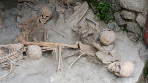 Herculaneum bones